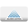 Salinen